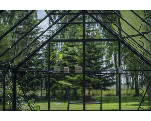 Serre avec étagère, plante, ficelle et outils de jardinage