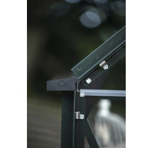 Vue détaillée d'une serre avec cadre, verre et ferrures