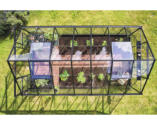 Vue de dessus d'une serre avec des plantes et un plancher en bois sur une pelouse