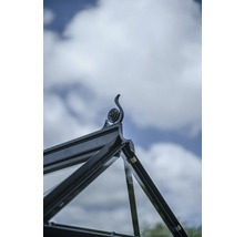 Gros plan sur le pignon d'une serre avec élément décoratif