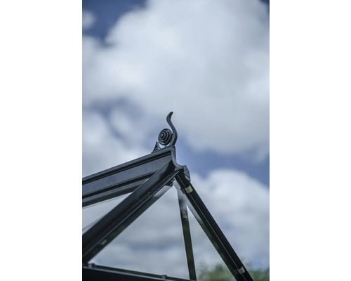 Gros plan sur le pignon d'une serre avec élément décoratif