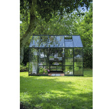 Serre avec étagères et plantes dans un jardin.