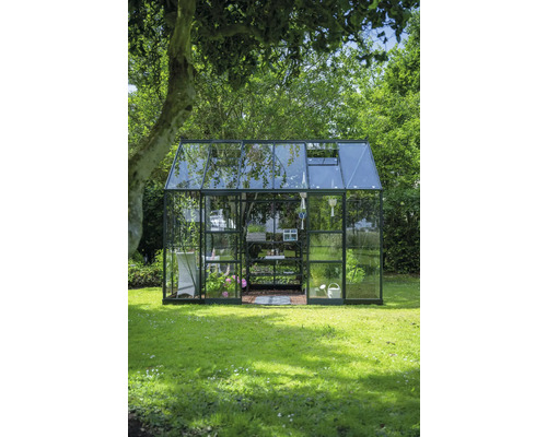 Serre avec étagères et plantes dans un jardin.