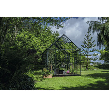 Serre dans le jardin avec des plantes