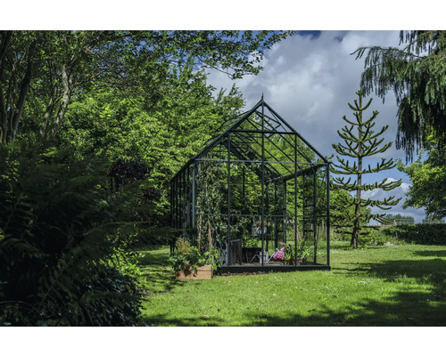 Serre dans le jardin avec des plantes