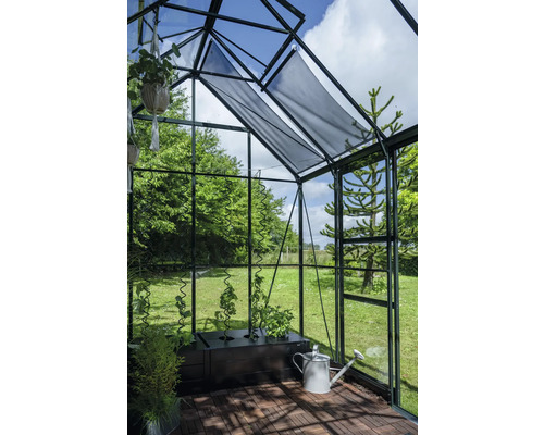 Serre avec plantes, arrosoir et protection solaire
