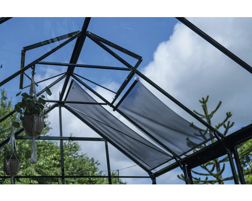 Vue intérieure d'une serre avec système d'ombrage et plantes suspendues