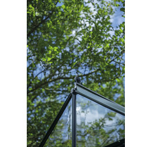 Vue détaillée du toit d'une serre avec une pointe décorative