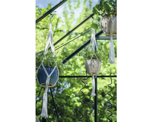 Trois suspensions pour plantes avec des plantes dans une serre.