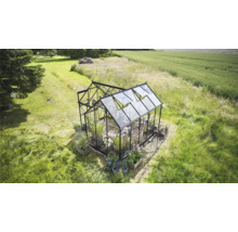Serre de jardin avec plantes et fenêtres ouvertes.