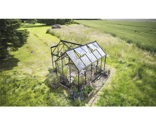 Serre de jardin avec plantes et fenêtres ouvertes.