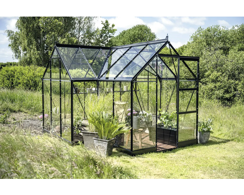 Serre avec des plantes dans le jardin