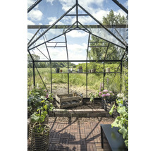 Serre avec étagères, plantes et outils de jardinage