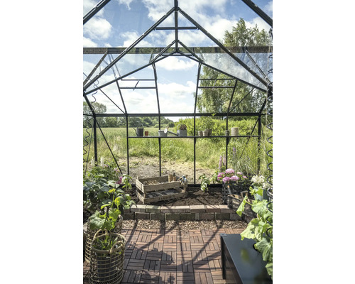 Serre avec étagères, plantes et outils de jardinage