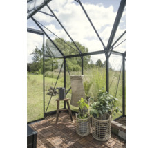 Vue intérieure d'une serre avec plantes, arrosoir et plancher en bois