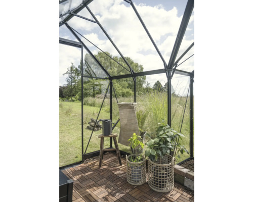 Vue intérieure d'une serre avec plantes, arrosoir et plancher en bois