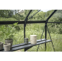 Intérieur de serre avec plantes et ficelles