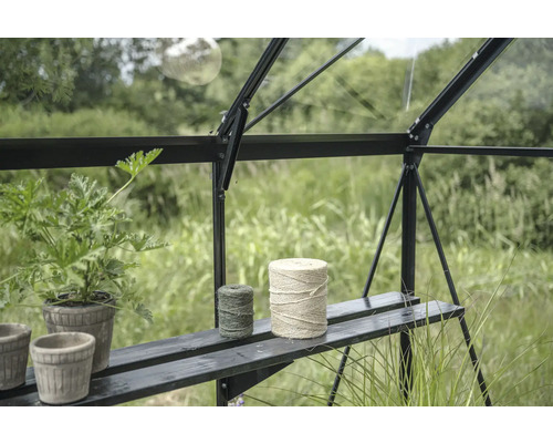 Intérieur de serre avec plantes et ficelles