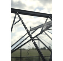 Vue détaillée de la structure d'une serre avec vitrage