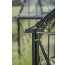 Vue détaillée d'une serre avec cadre et vitrage.