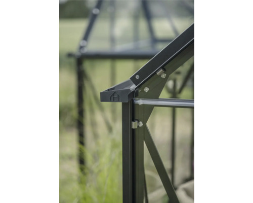 Vue détaillée d'une serre avec cadre et vitrage.