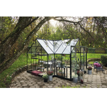 Serre avec parois en verre et cadre noir dans le jardin.