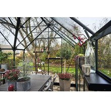 Serre avec table, chaises et plantes pour le jardin