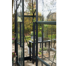 Vue détaillée d'une serre avec des étagères et des plantes