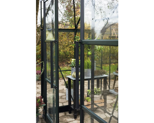 Vue détaillée d'une serre avec des étagères et des plantes