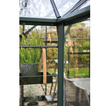 Gros plan d'une serre avec une plante sur une étagère