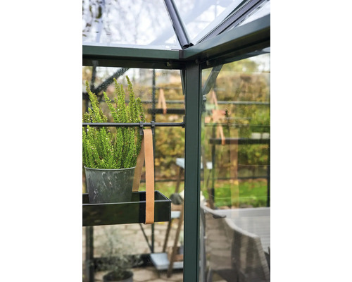 Gros plan d'une serre avec une plante sur une étagère