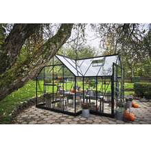 Serre dans le jardin avec des plantes et des citrouilles sur les tables et les étagères.