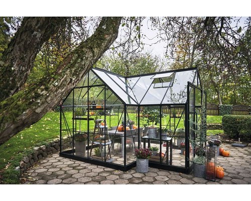 Serre dans le jardin avec des plantes et des citrouilles sur les tables et les étagères.