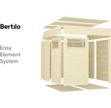 Kit de maison de jardin Bertilo en bois avec fenêtres
