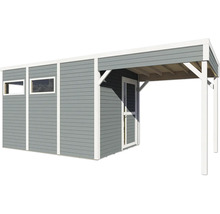 Abri de jardin avec fenêtre et auvent