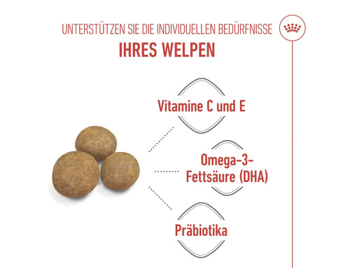 Informationen über Vitamine, Omega-3-Fettsäuren und Präbiotika in Welpenfutter.