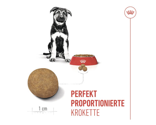 Illustration von perfekt proportionierter Krokette, Hundewelpe und Futternapf