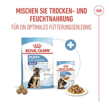 Royal Canin Puppy Maxi Trocken- und Feuchtnahrung für Welpen