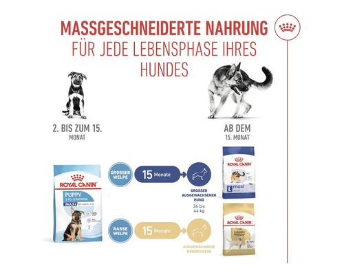 Illustration zur massgeschneiderten Hundeernährung für jede Lebensphase