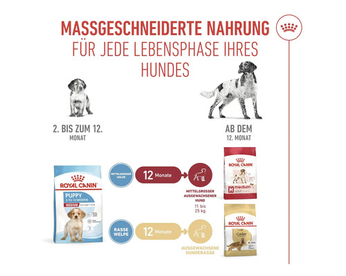 Illustration zur abgestimmten Hundeernährung von Royal Canin für jede Lebensphase
