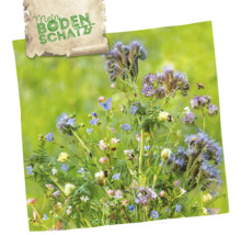 Blumenwiese mit verschiedenen Blüten und Insekten, darüber ein Schild mit der Aufschrift Mein Bodenschatz