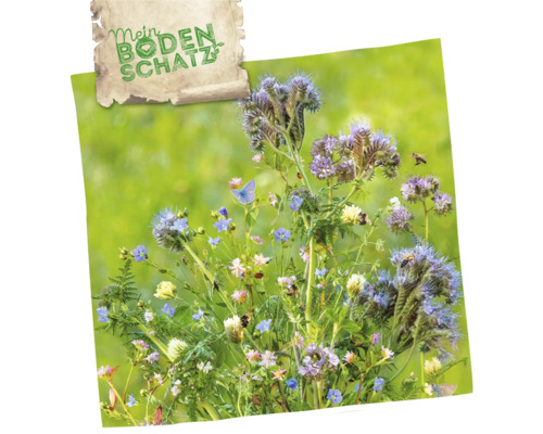 Blumenwiese mit verschiedenen Blüten und Insekten, darüber ein Schild mit der Aufschrift Mein Bodenschatz