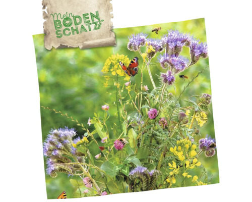 Mein Bodenschatz Blumenwiese mit Schmetterlingen und Bienen