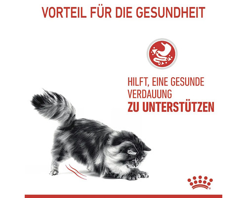 Symbol für eine gesunde Verdauung von Katzenfutter
