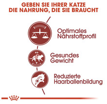 Katzenfutter: Optimiertes Nährstoffprofil, gesundes Gewicht, reduzierte Haarballenbildung.
