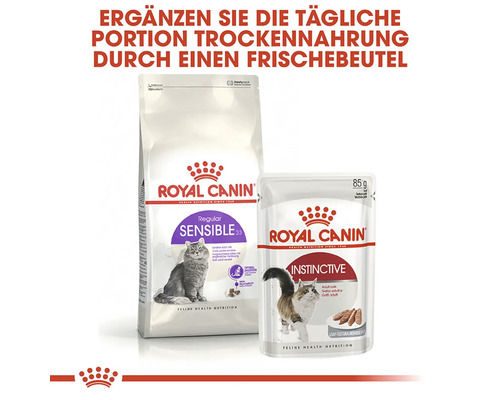 Royal Canin Katzennahrung, Trocken- und Feuchtfutter