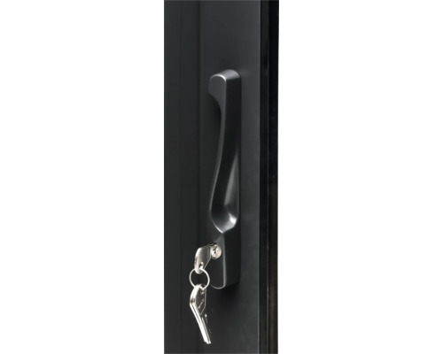 Porte d'entrée avec clé dans la serrure et poignée de porte