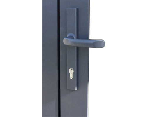 Vue détaillée d'une porte grise avec poignée et serrure Yale