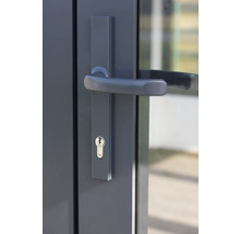 Porte avec poignée de porte et serrure