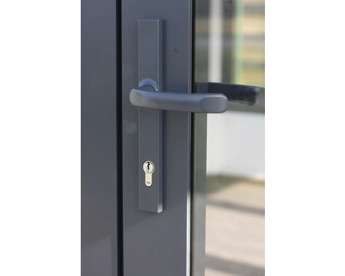 Garniture de porte avec poignée et serrure à cylindre